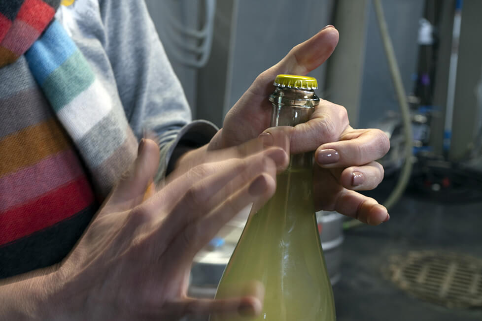 Coiled Wines Boise - Visit Idaho Weekend Guide